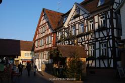 MICHELSTADT_012__26_.JPG