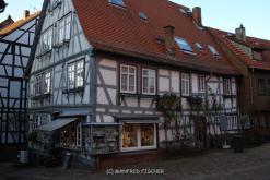 MICHELSTADT_012__48_.JPG