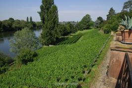 Aschaffenburg_Saint_Germain_Terrasse.jpg