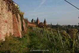 Pompejanum_Wein_Aschaffenburg__2_.JPG