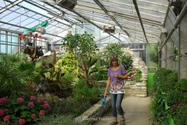 Palmengarten__49_.JPG
